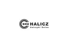 /partners/halicz.webp logo